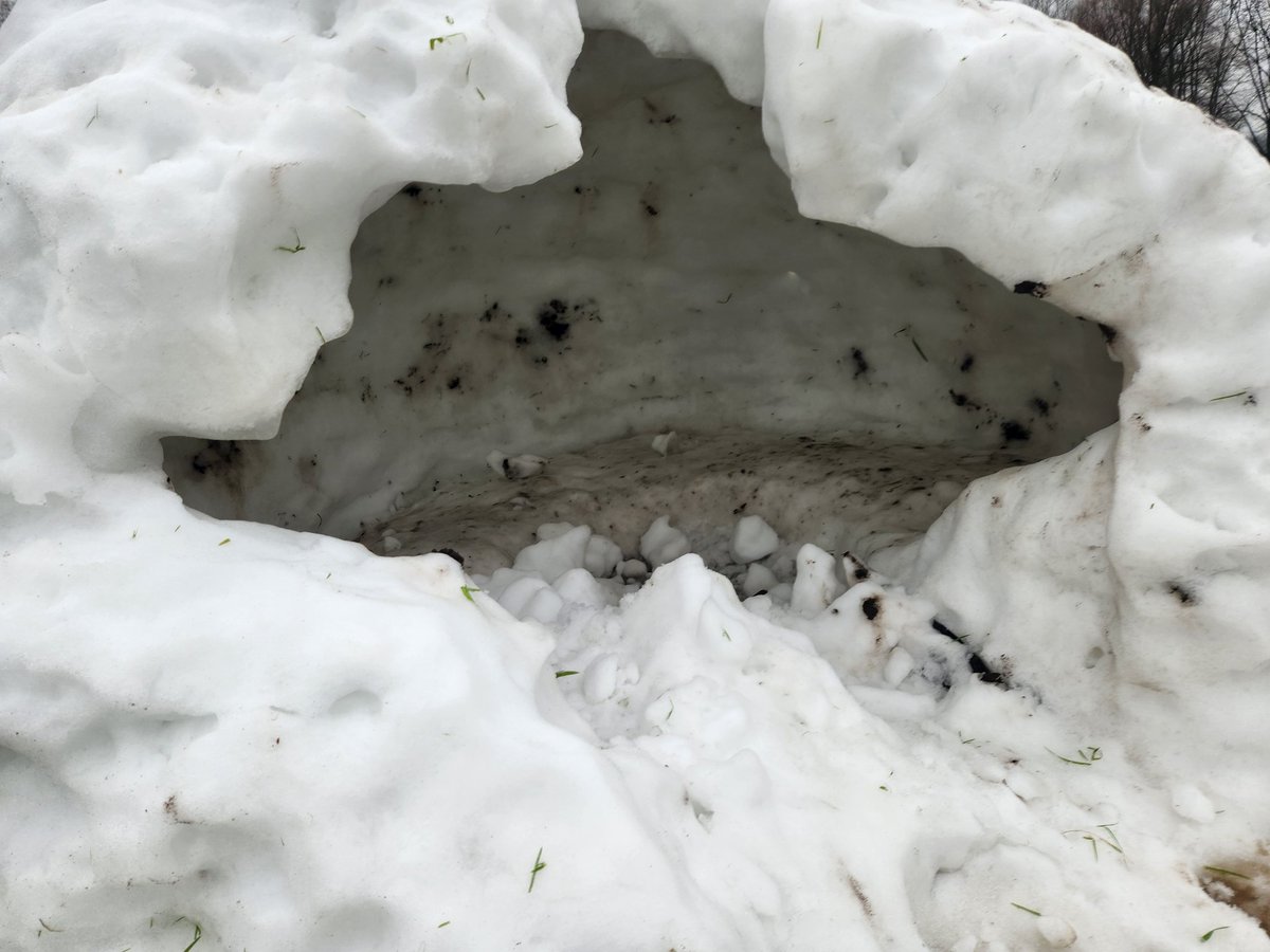 Omar 🌍🇳🇱🇪🇺 🎄🐓 tweet media