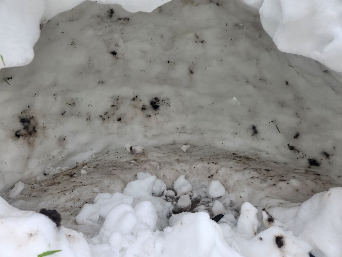 Omar 🌍🇳🇱🇪🇺 🎄🐓 tweet media