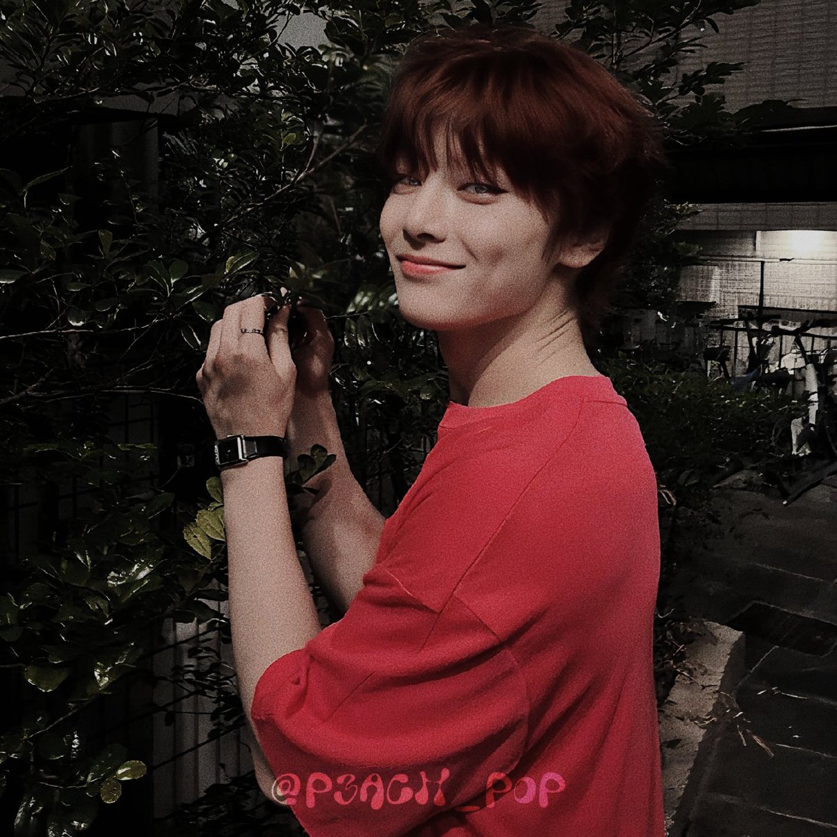 ๐๐ข๐ฎ (๐จ๐ก๐ค๐ฌ ๐๐ข) tweet media