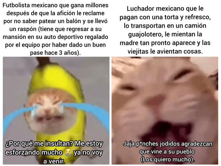 veloceronte's tweet image. 