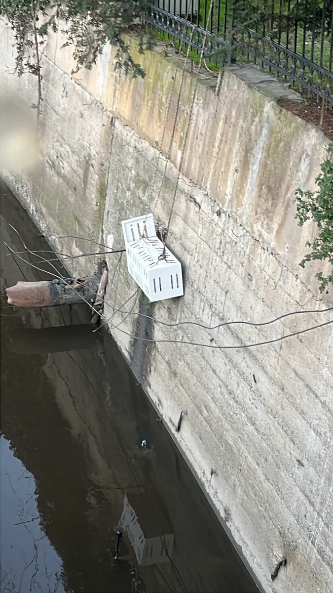 Kağıthane gönüllüleri ve çevredeki hayvanseverler acil yardım!
Derede, bir borunun içinde mahsur kalan bir kedi var. Nikâh salonunun yaya girişinin önü.

İnstagram @caliskanebr 

#SokakHayvanlarıSahipsizDeğil