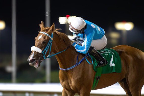 نتيجة الشوط الـ 11 الحفل ( 58 ) 
[ كأس الأميرة منيرة بنت عبدالعزيز بن مساعد بن جلوي ]

الفائز:ديم البحر 
المالك :نايف محمد عويض العتيبي
المدرب :راكان العتيبي 
الخيال :خالد الميموني
المسافة :  1600 متر
الزمن:01:51:31

#مباري_الخيل
#موسم_سباقات_الرياض