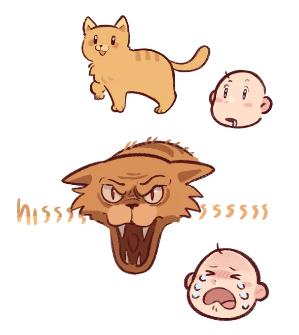 Scarfy the fuckin bipolar cat 