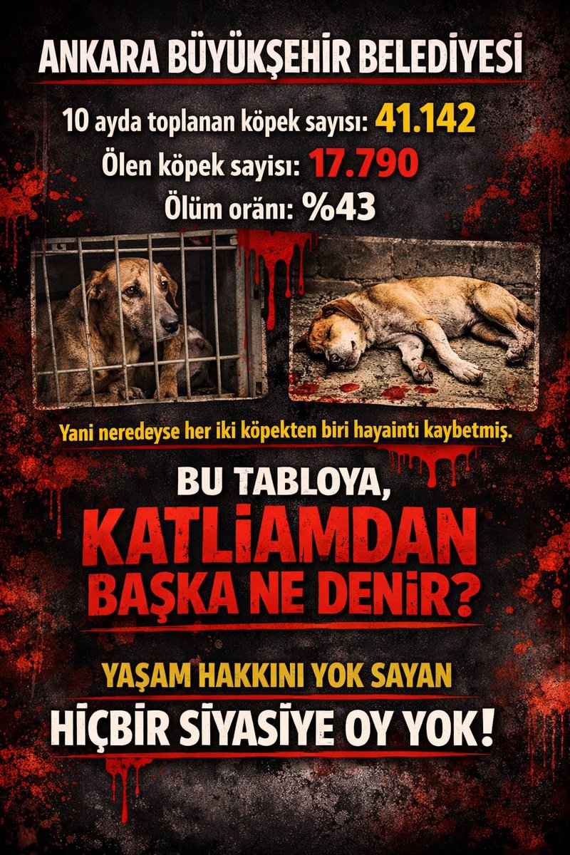haydarozkan06's tweet image. Ankara Büyükşehir Belediyesi

10 ayda toplanan köpek sayısı: 41.142
Ölen köpek sayısı: 17.790
Ölüm oranı: %43

Yani neredeyse her iki köpekten biri hayatını kaybetmiş.

Bu Tabloya, 
KATLİAMDAN Başka NE DENİR?

Yaşam hakkını yok sayan
HİÇBİR SİYASİYE OY YOK!