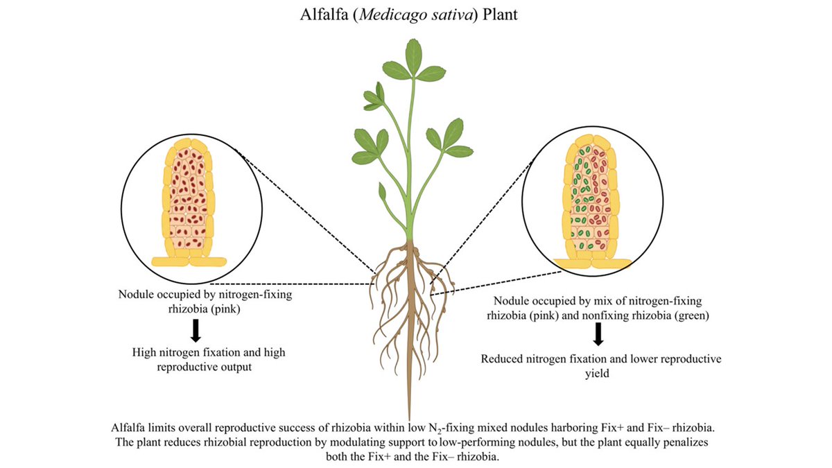 Jawahar Singh, PhD tweet media