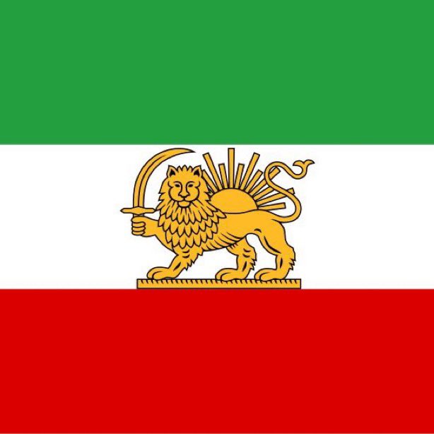 mdubowitz's tweet image. First, the flag will be replaced on X. 

Then, the flag will be replaced on every Iranian government building.