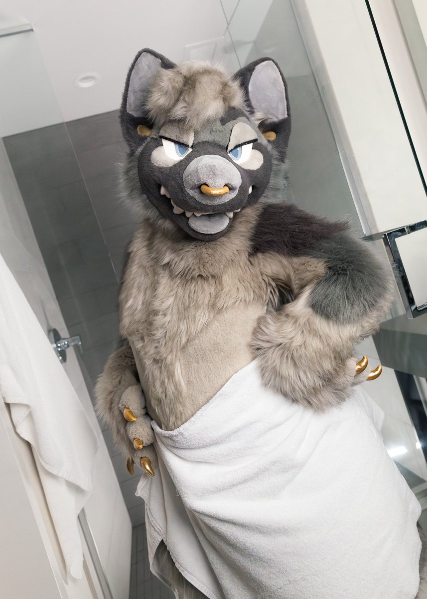 TABBY 🔜 LVFC tweet media