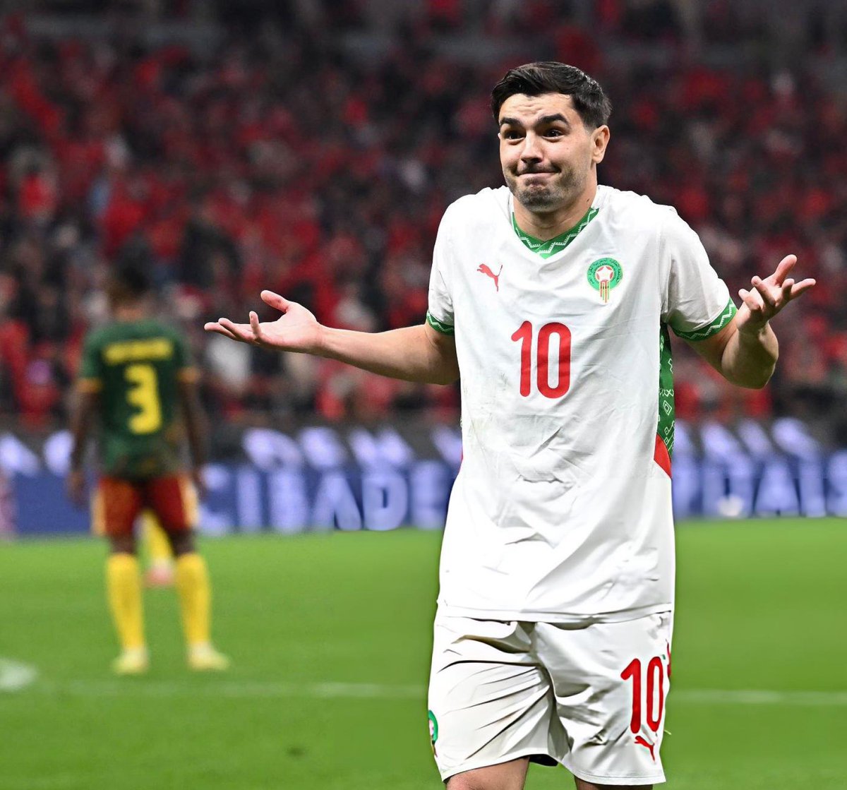 عمرو tweet media