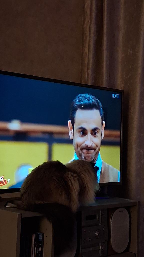 izza9144's tweet image. #QuiSeraLePlusNul