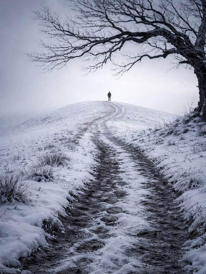 ©Gabriele Corno, Back home