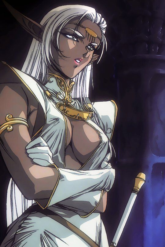 90sPiictures's tweet image. Female character designs from the Record of Lodoss War