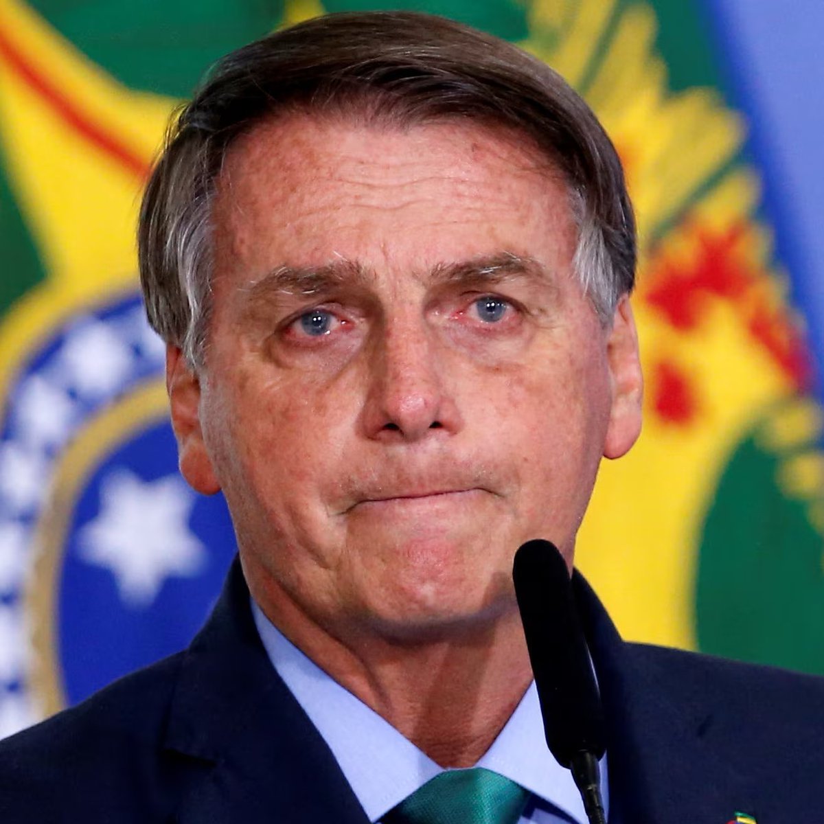 poponze's tweet image. Livia, pipoca da região Norte, segue uma conta chamada "Volta Bolsonaro" no Instagram. #BBB26