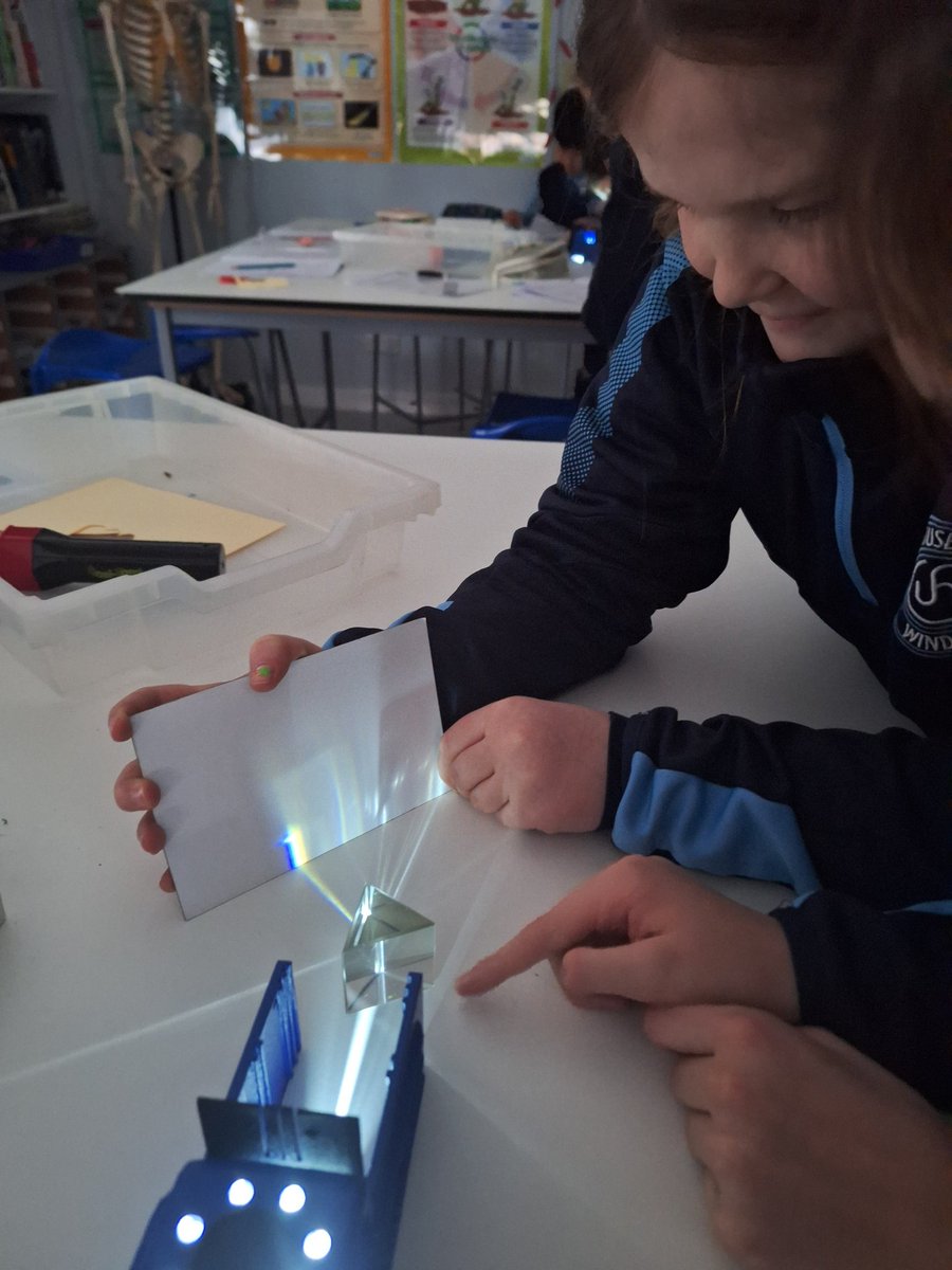 Upton House Science tweet media