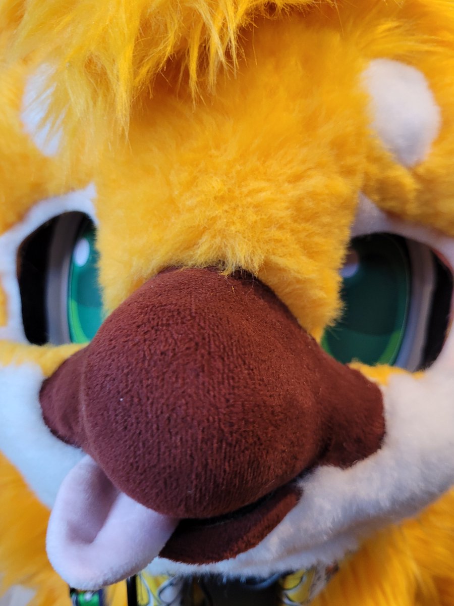 ToriLewd (@torilewd) on Twitter photo 