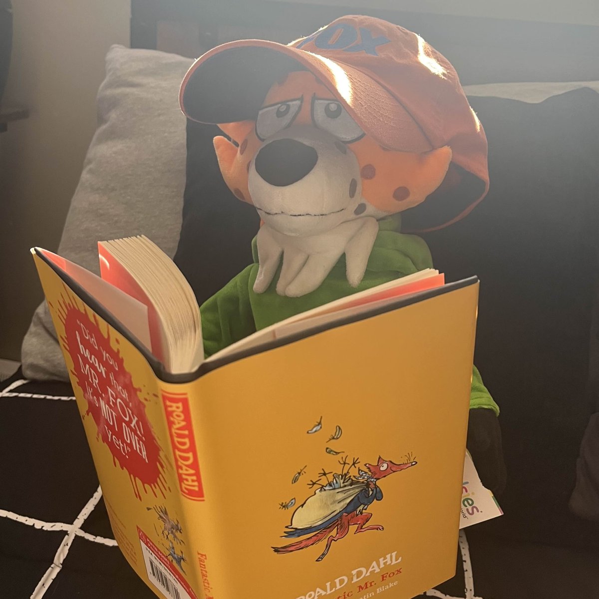 Fantast1cFox's tweet photo. "Yeah, hold up, I'm just chilling and reading up on some absolute cinema". #fox #cartoon https://t.co/ppQH5pGLwF