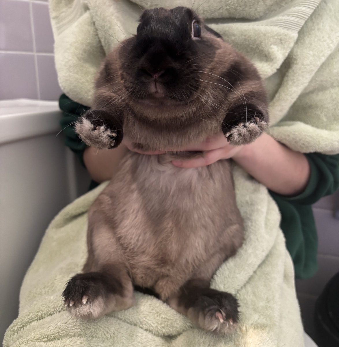 Neen 🐰 tweet media