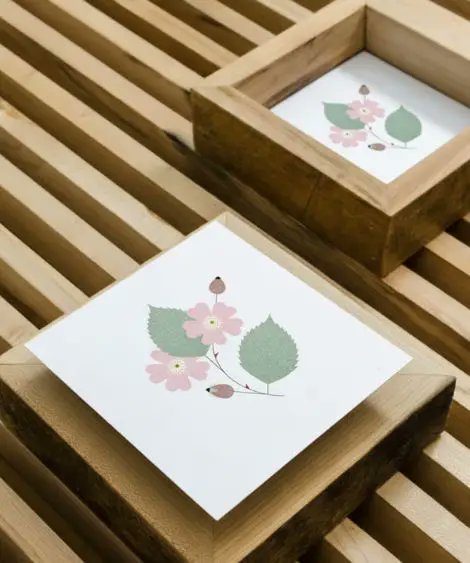 By planting a Dogrose, you’re helping to restore Ireland’s biodiversity and ensure native woodlands continue to thrive.

grownforest.ie/product/dogros…