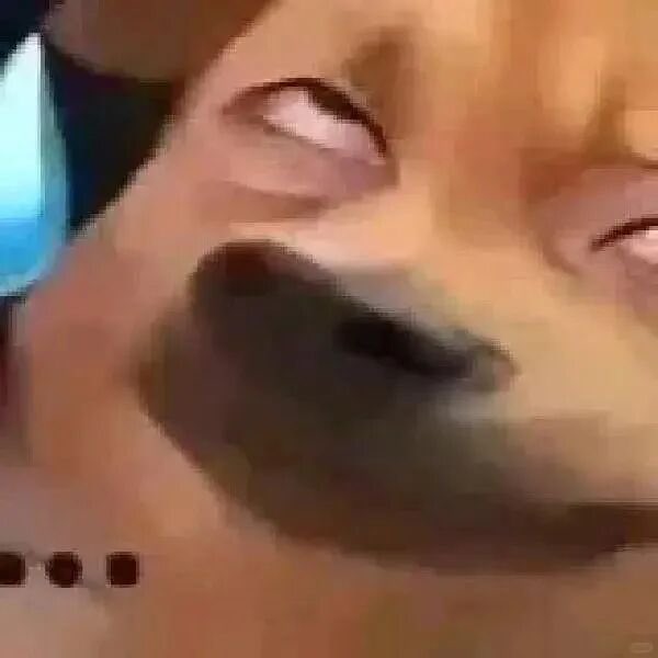 小鸡吧不准管自己叫男菩萨，谢谢