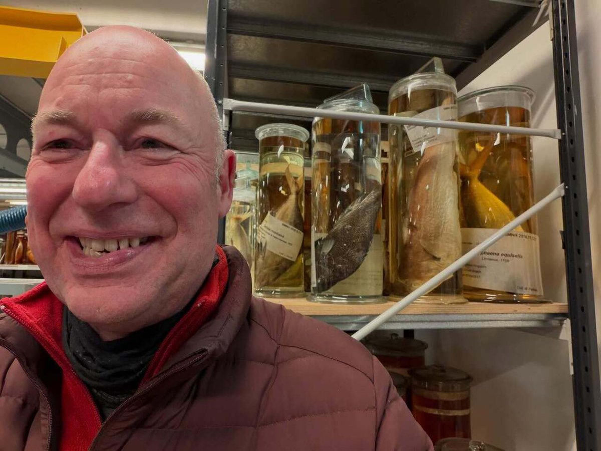 Timothy_Hughes's tweet photo. The Natural History Museum - Behind the scenes tour: Spirit Collection @natural_history_museum @nhmlondon @nhm_london #naturalhistory #naturalhistorymuseum #londonmuseum #museumlondon #behindthescenes #spiritcollection #naturalworld #London #southkensing… https://t.co/h6rpyh5bDL https://t.co/Rp08iju0W0