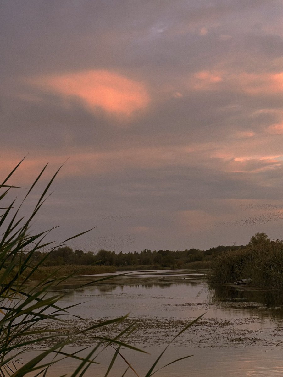 vsshostak's tweet image. SOLD💗 

«when the time comes for certain ideas, they find a way to express themselves through us» 

I am sincerely grateful and extremely happy that my works resonate. 
Thank you! It seems to be an anonymous collector. I am grateful 🫂