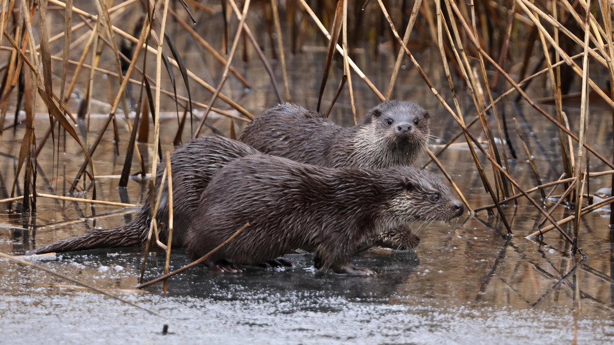 Mark fullerton tweet media