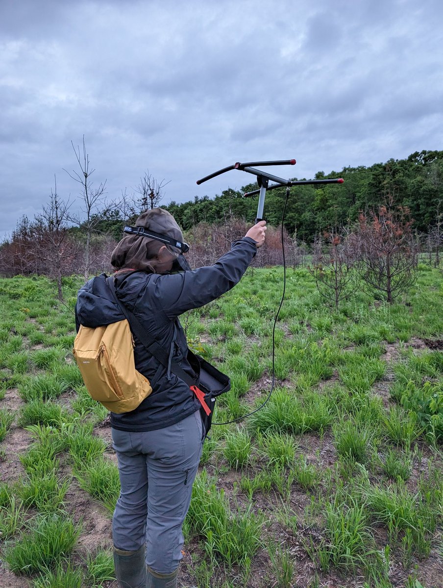 Birds Canada - Ontario Region tweet media