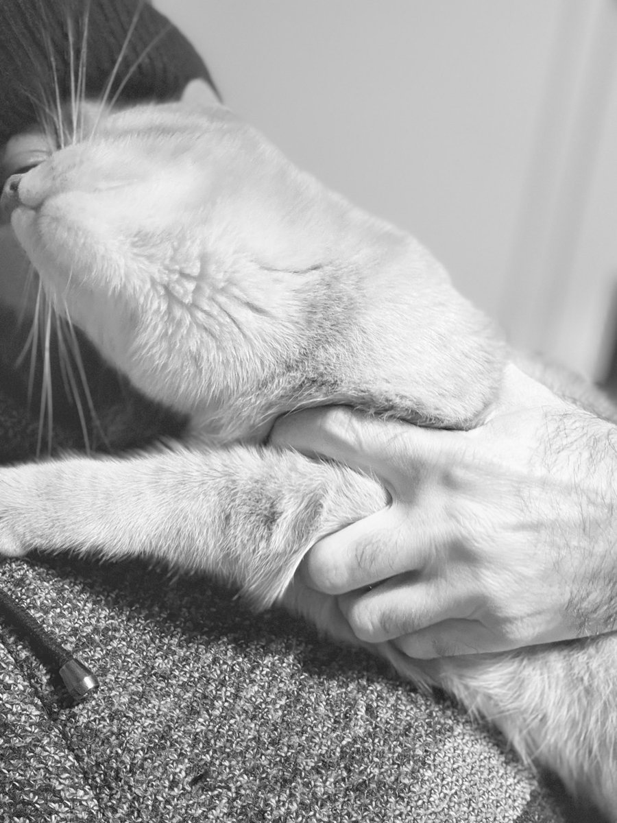 Allez bonne soirée là dedans 😘
#vendredichat