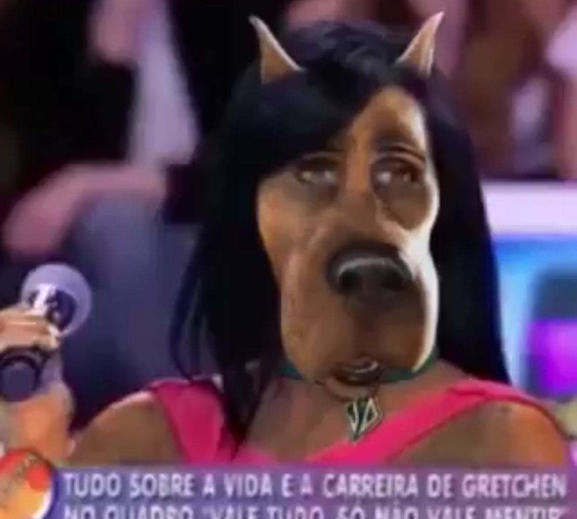 _libeau_'s tweet image. rivalidade caprichoso x garantido na casa de vidro... boninho você não é inocente