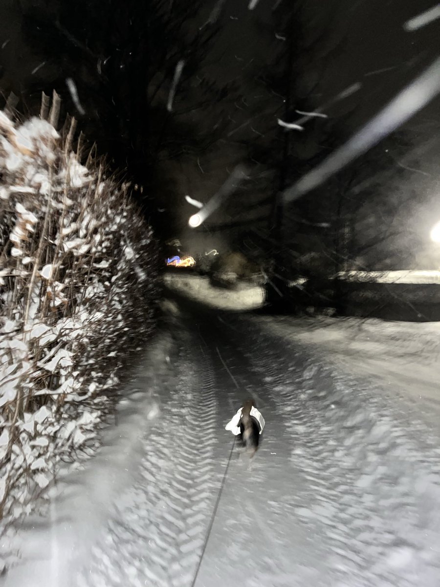 MarksMikkelsen's tweet photo. Dzisiaj u nas -15. Psiak któremu szukałam domu tymczasowego niestety dalej mieszka w nędznej budzie, właścicielka nie wpuści go do domu

Szukamy i błagamy, rozpytujcie https://t.co/aOXdunrh4C