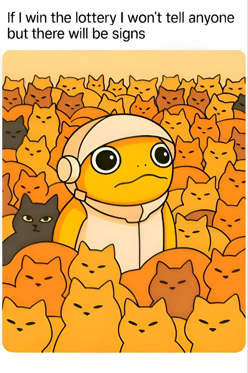 Turbo 🐸 tweet media