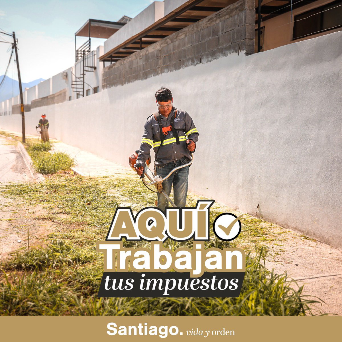 David de la Peña Marroquín tweet media