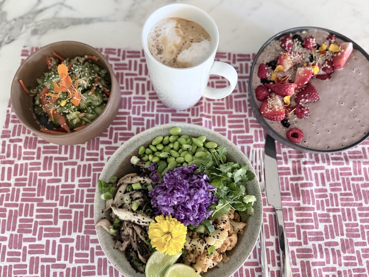 Bryan Johnson tweet media