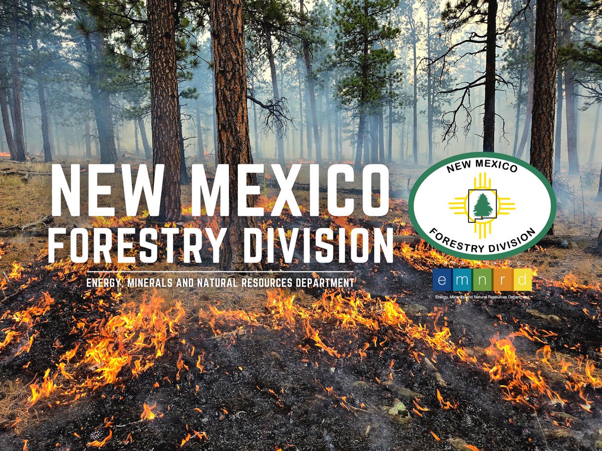 Want some cozy reading this snowy Friday? Our first monthly newsletter just dropped! It's packed with stories, tips and photos from the field.

Visit tinyurl.com/ytpw6aus to check it out. Want 'em delivered to your inbox? Sign up at tinyurl.com/24nbcy59.