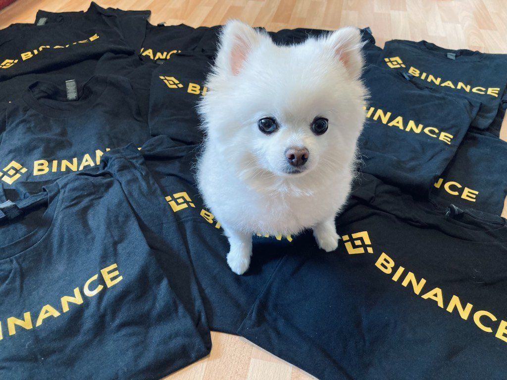 币安Binance华语 tweet media