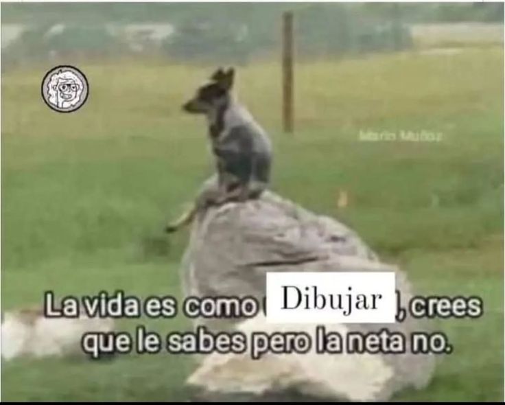 Clovmoon's tweet image. 