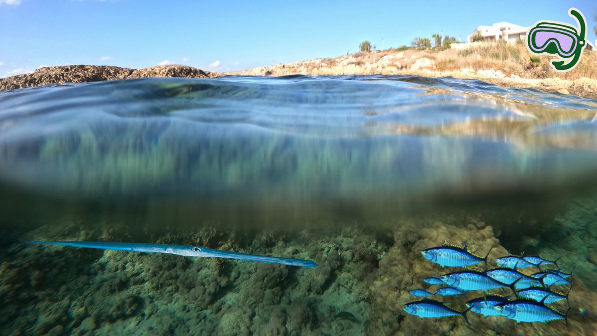 Tam & Lauren tweet media