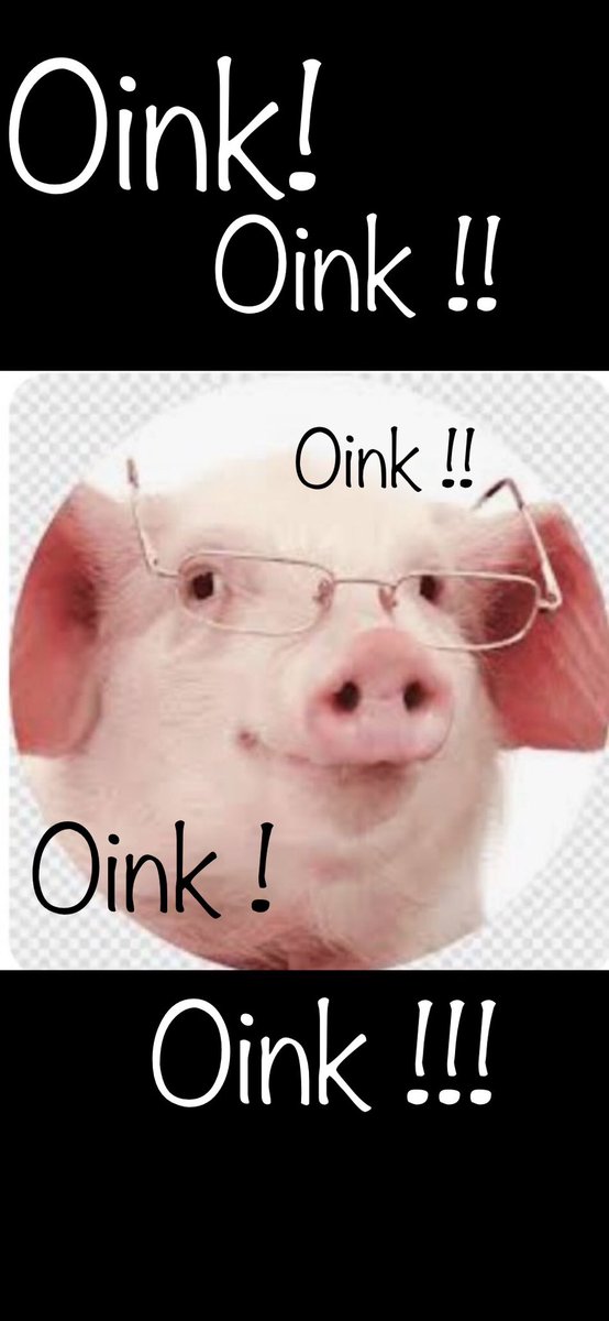 Chicago49 tweet media