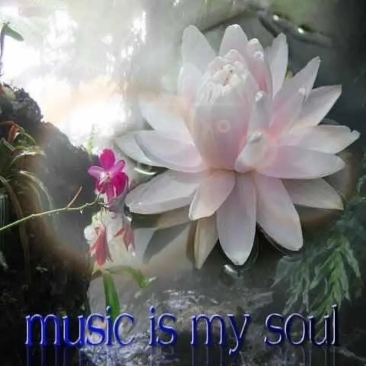 ✧ (@northstardoll) on Twitter photo 