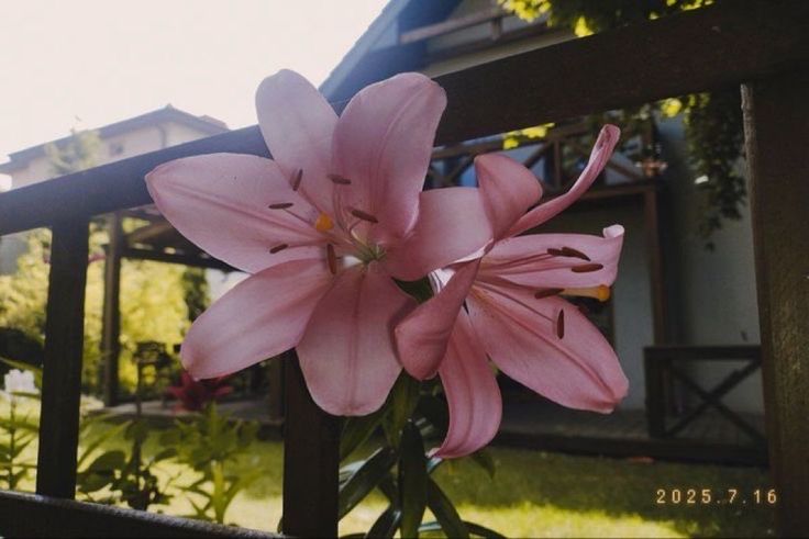 chaarpaai's tweet image. 