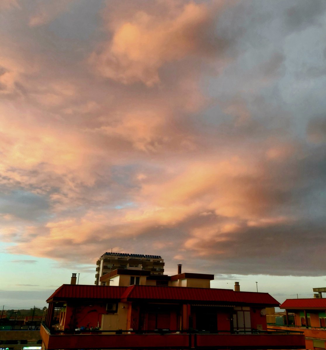 Maria Lea tweet media