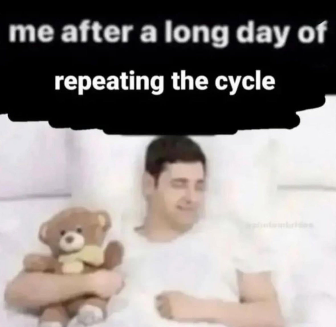 ✧ (@northstardoll) on Twitter photo 