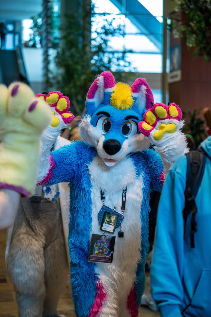 #ANE is less than a week away! Who am I going to see there? :3

Steal me for some hugs and snugs!

#FursuitFriday

📸 @ HyperCat. me 🔵☁️