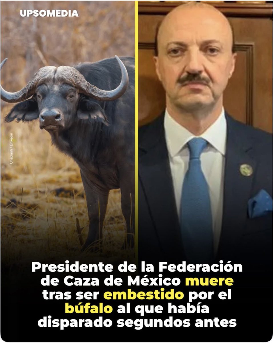 El Presidente de la Federación de Caza de México murió al ser embestido por un Búfalo al que le había disparado segundos antes.