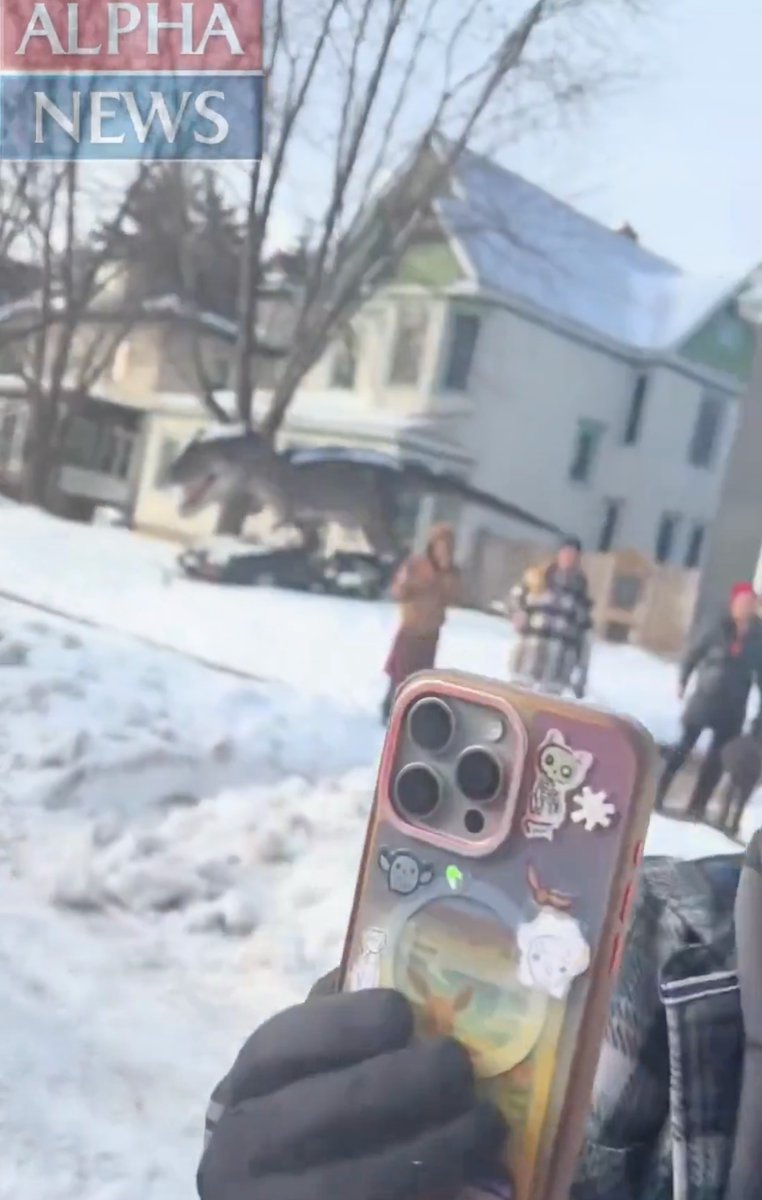 thehoffather's tweet photo. I know everyone is "Zapruder-filming" the new video, but are we all just going to ignore that one neighbor has a giant T-Rex and the other has a giant shark? https://t.co/1tbI34wpNf