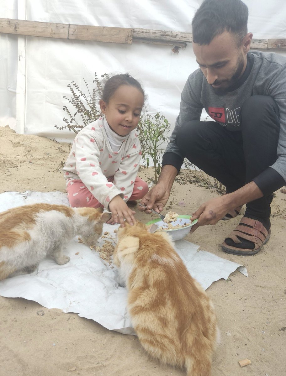 The ceasefire is a sham. 

I hate relying on donations to survive but this is our reality in Gaza. 

I still need £58 for food and medicine 💔  

I’m a widowed father doing all I can to keep my children alive. 

Every donation helps 🙏 🫂 
gofund.me/6720dbd1