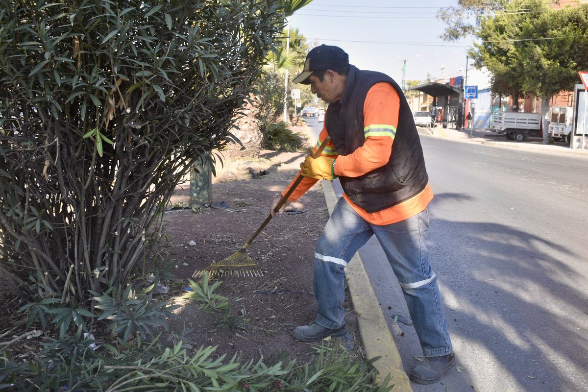 Realizamos la limpieza general de la Av. Fray Diego de la Magdalena, llevando a cabo labores de barrido, deshierbe y recolección de residuos, para mejorar la imagen urbana y la seguridad de esta importante vialidad.🍃🧹

Seguimos trabajando por #SanLuisCapital. 🤝
