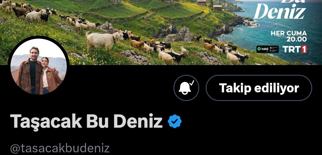 despomdency's tweet photo. Yeni profil fotosunun güzelliği peki 🥲 

#taşacakbudeniz https://t.co/yuDbDej3KA