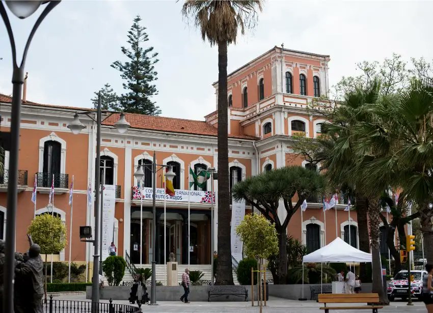 Mario VN tweet media