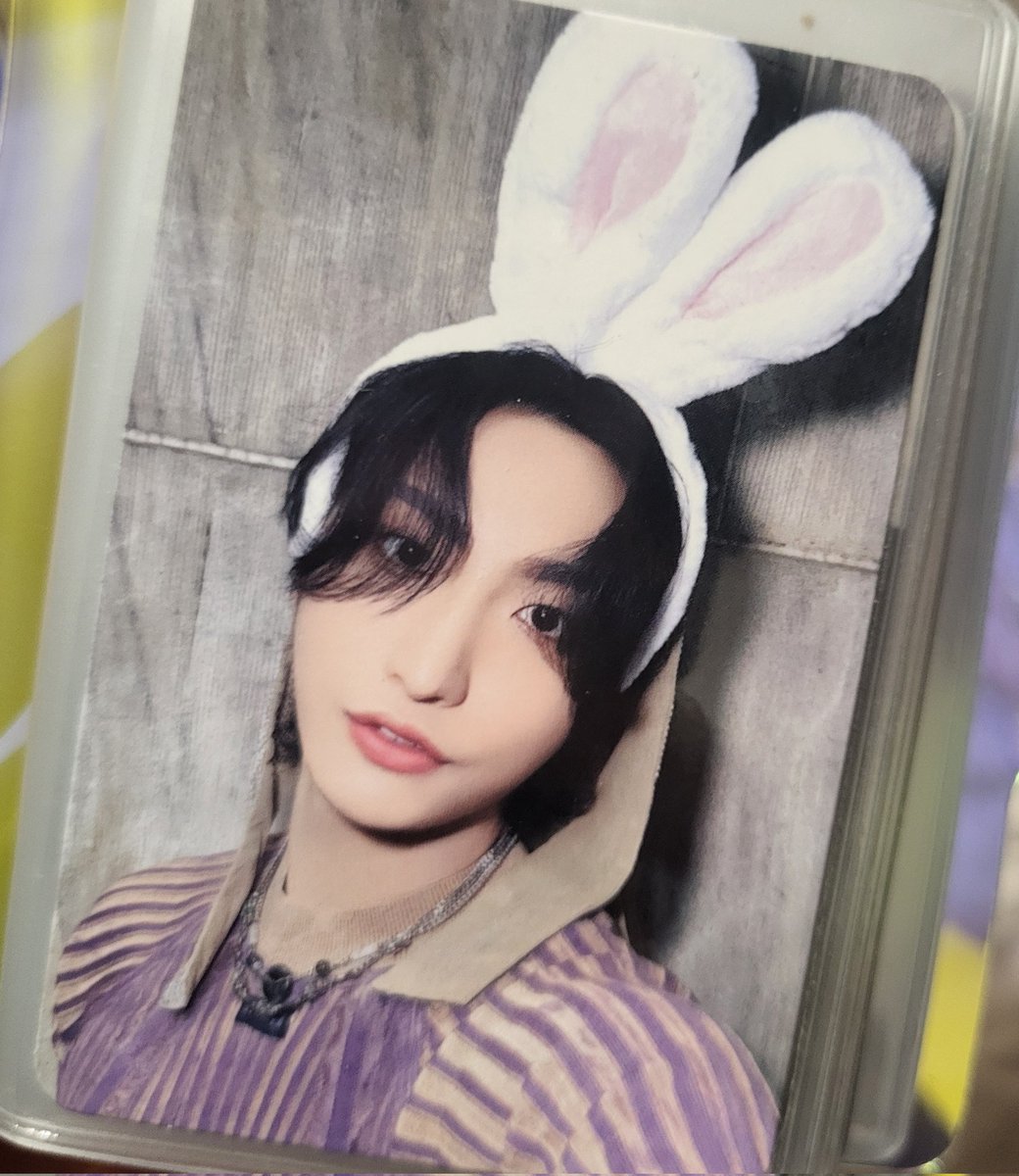 muncpr's tweet image. bunny wife is finally home...