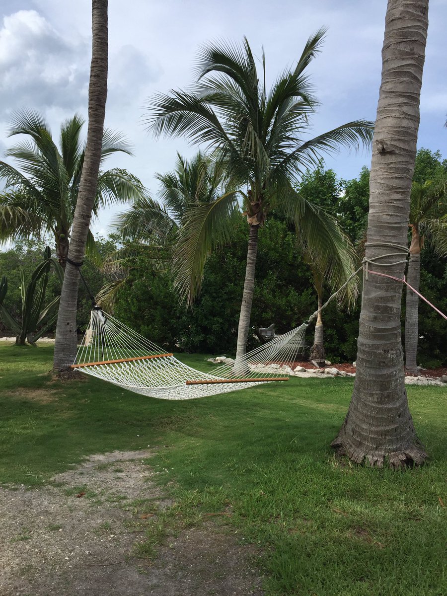 minor_doug's tweet photo. @thefloridakeys @_HollyCain https://t.co/o5gmEUSVwd